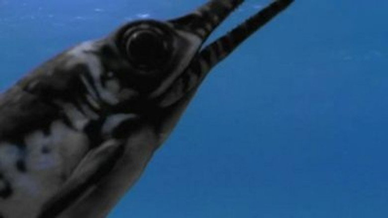 Still from Dinosaurier – Im Reich der Giganten - Season 1 Episode 3