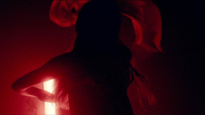 Imatge de Where Sight and Sound Falter