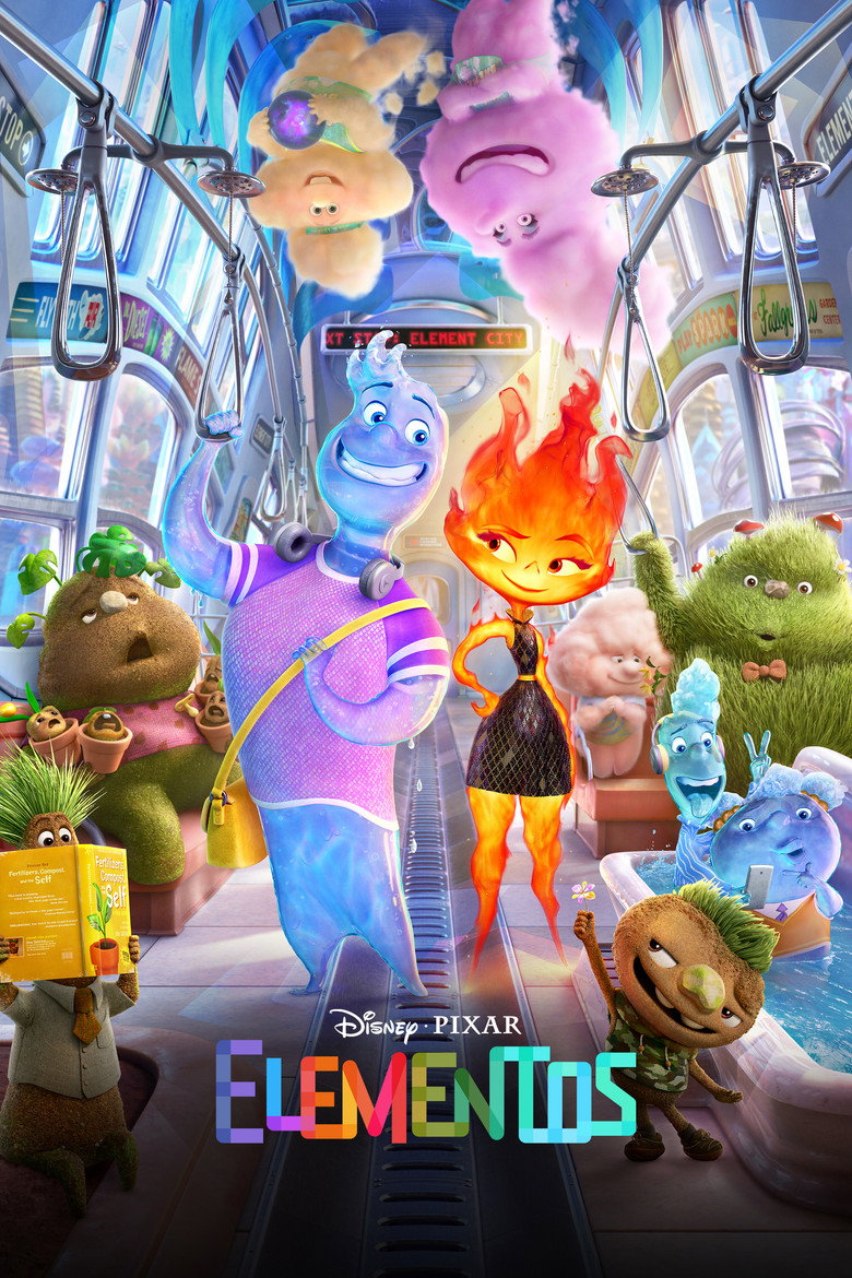 Póster la Película