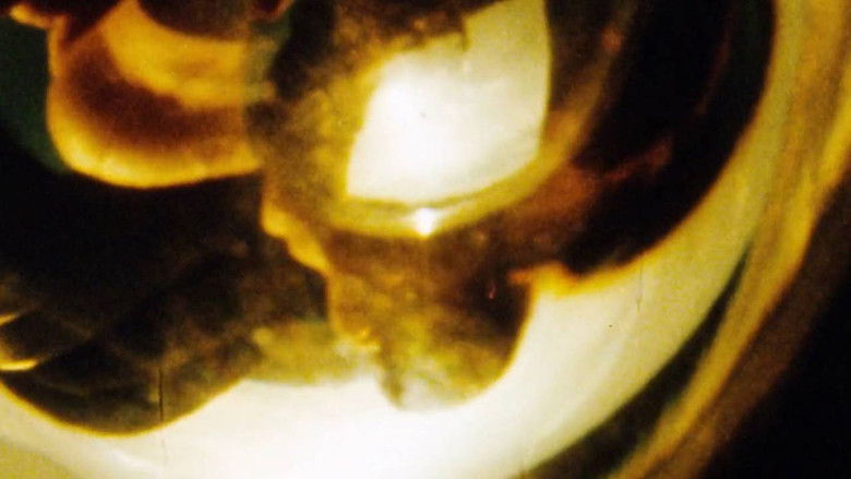 Gallery image from 7Qy5gxXTNC00h3Fwm3Ck0cPHNC6.jpg