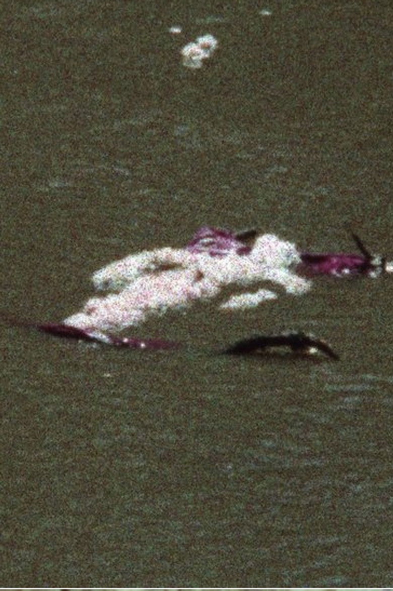 Imatge de Flower Silueta