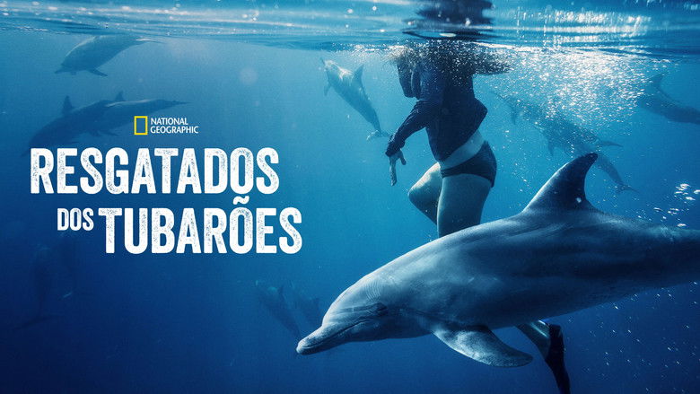 Gallery image from 7R29F59jtPv8SJhZKVIARVXPjmR.jpg