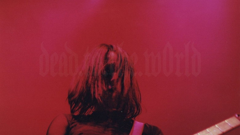 Film backdrop