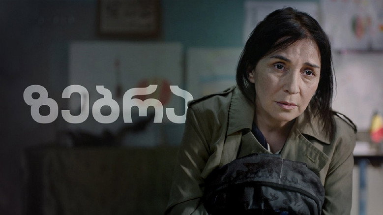 Imatge de ზებრა