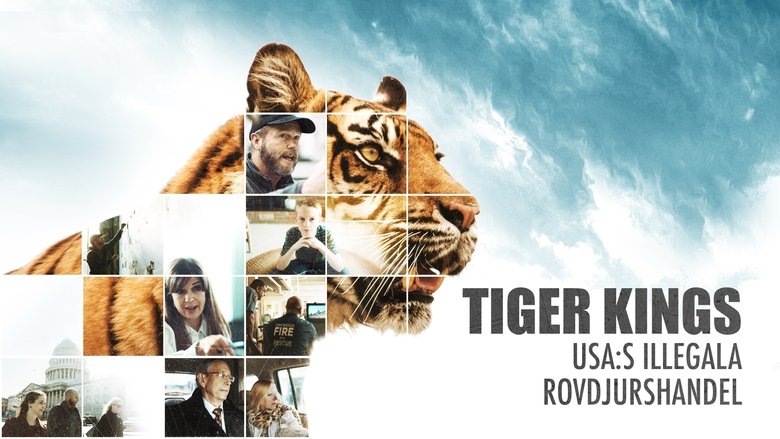 Gallery image from 7S8CWO5hreoS6QN3yEequkdGgxM.jpg