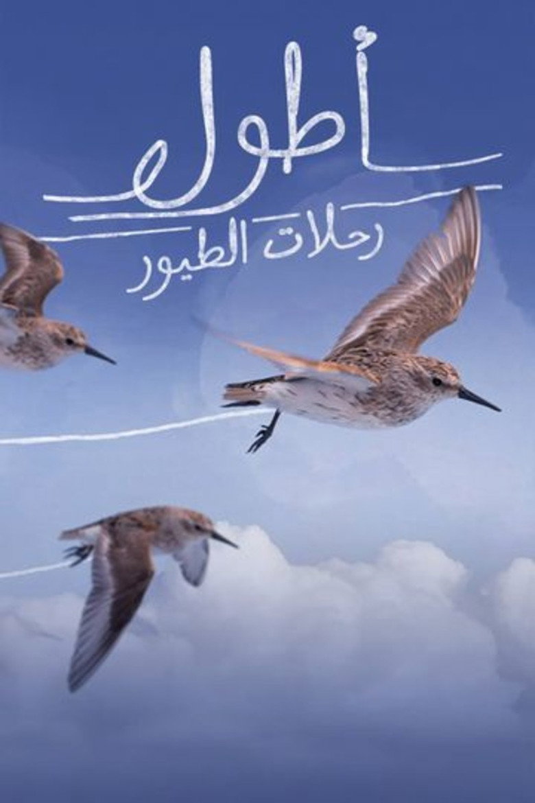 Longest bird flights background