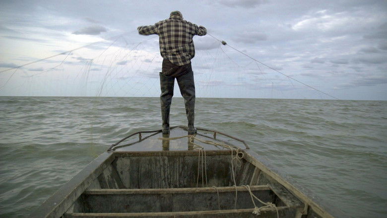 Gallery image from 7SZ6AiMht7hCgufNJ4IzGU8YGQA.jpg