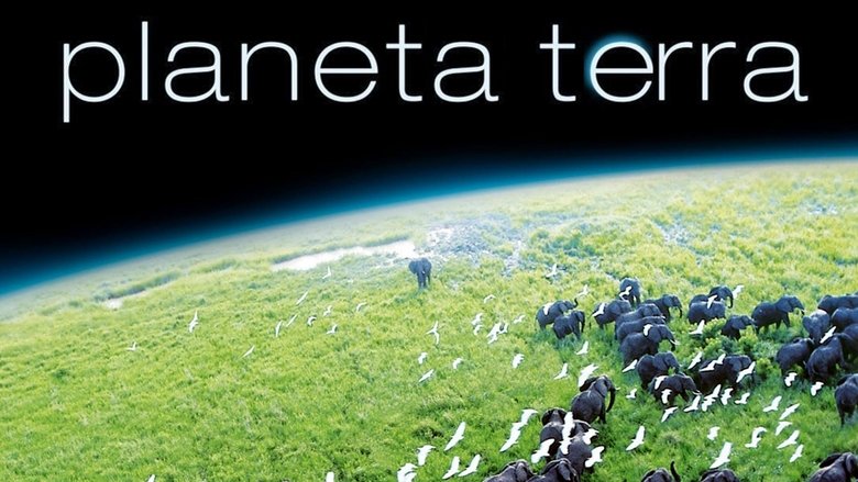 Gallery image from 7ShzuL4JWgjgxHgIxEMMD3amima.jpg