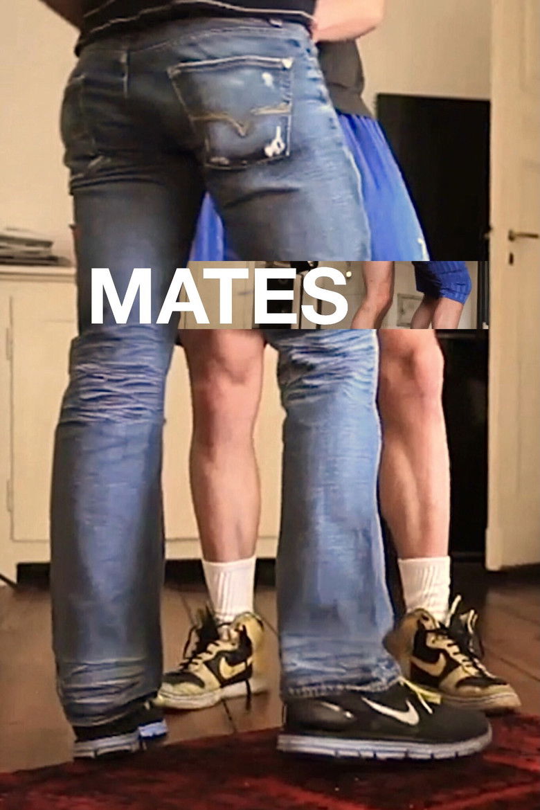 Imatge de Mates Extras