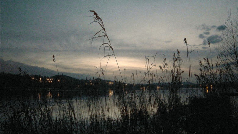 Imatge de Dal Pelo Dell'Acqua In Giù