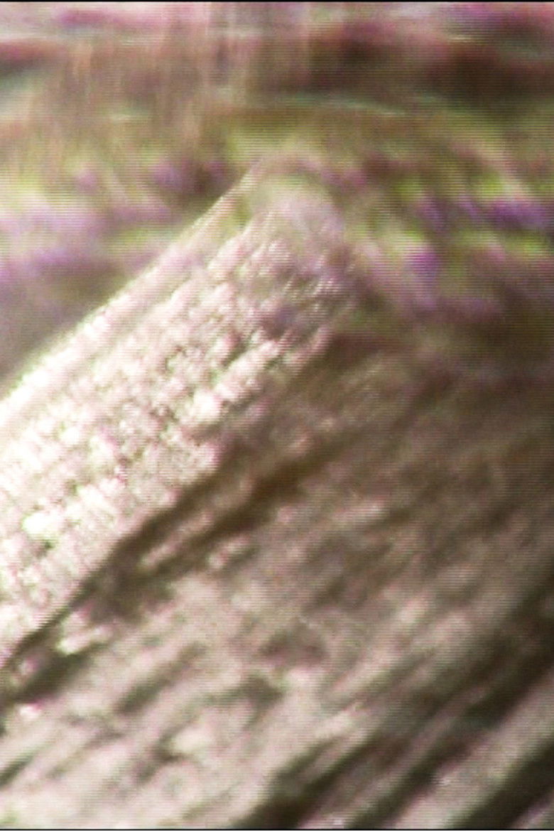 Imatge de in thin air