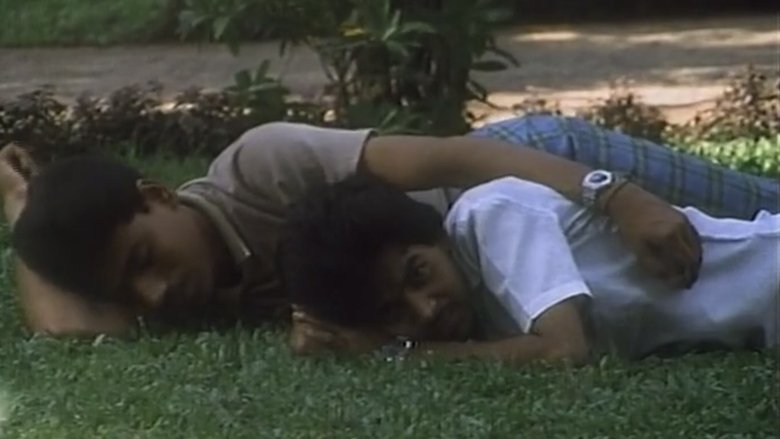 Gallery image from 7UIPxlDo6hF6zLlHWaPWW332qBo.jpg