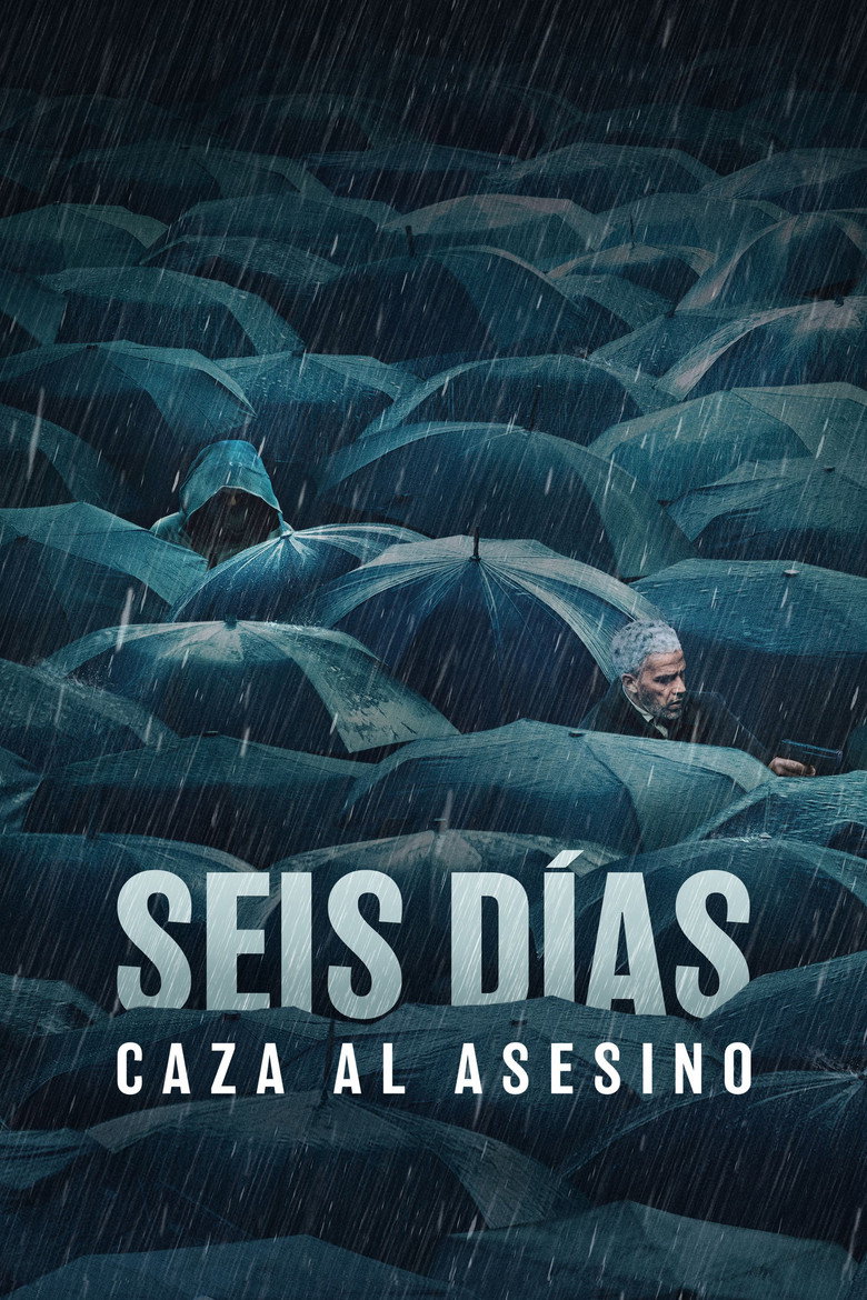 Póster la Película