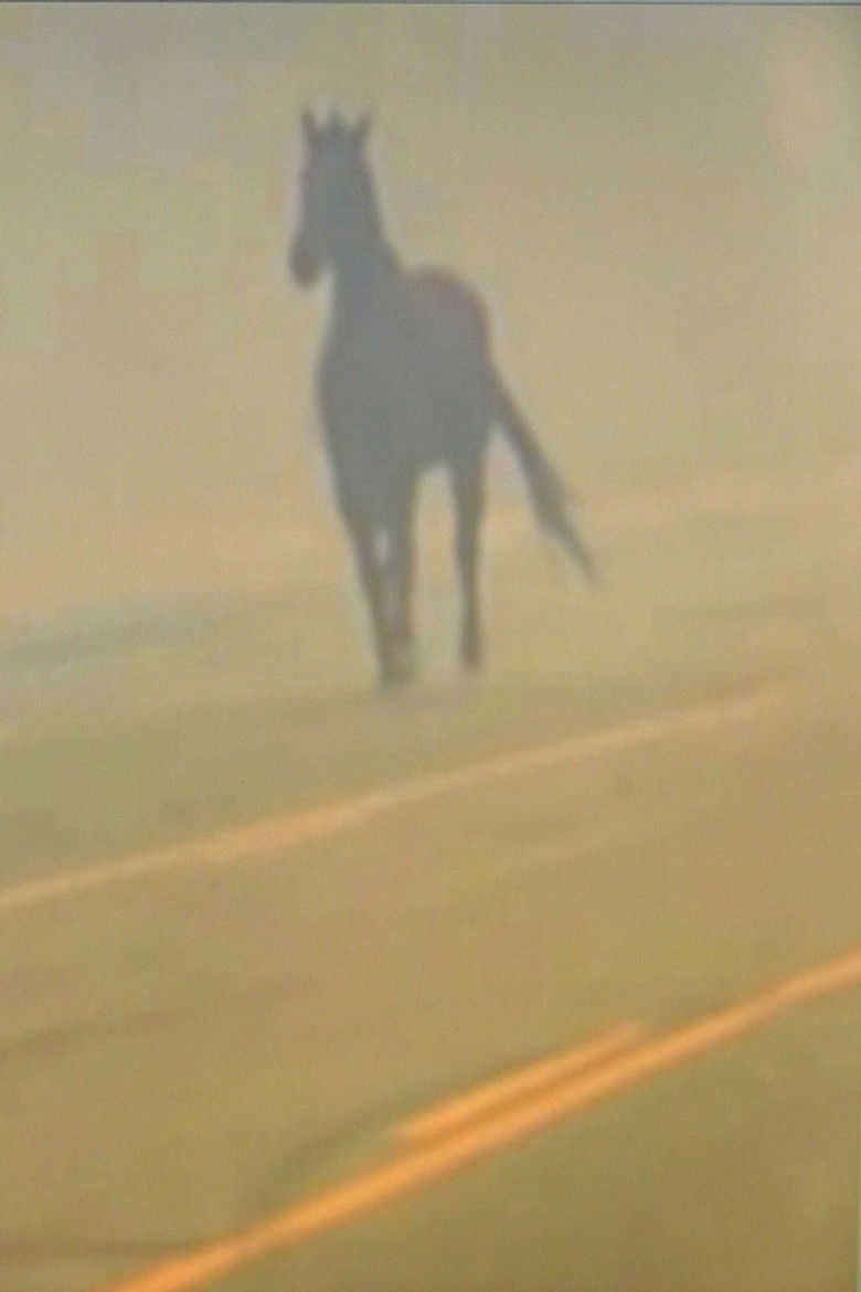 Imatge de Cupid's Fever