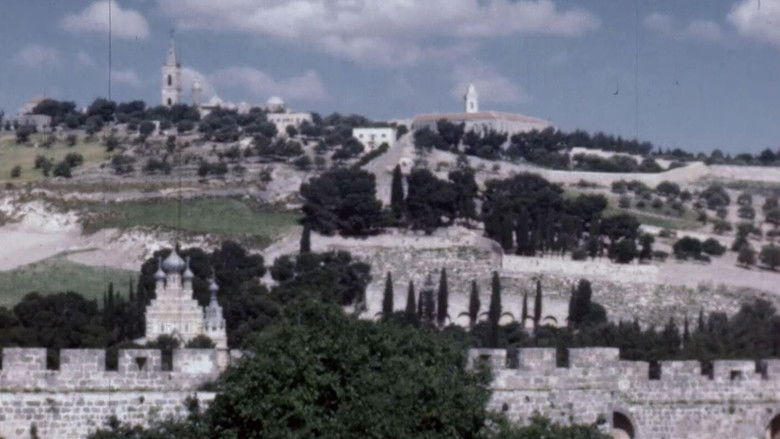 Gallery image from 7UPvpG2qCAUU1BI6Le8PO6xDZCN.jpg