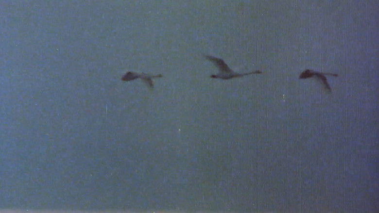 Gallery image from 7V5wyxFWv1qDORW1HuzAGHBpO02.jpg