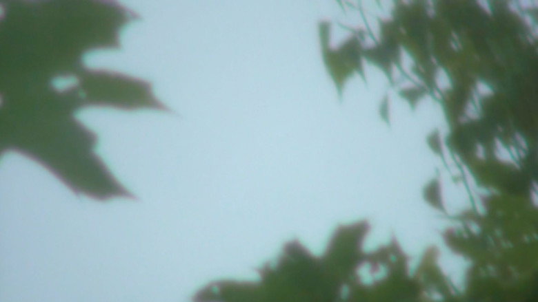 Imatge de Opening Sky