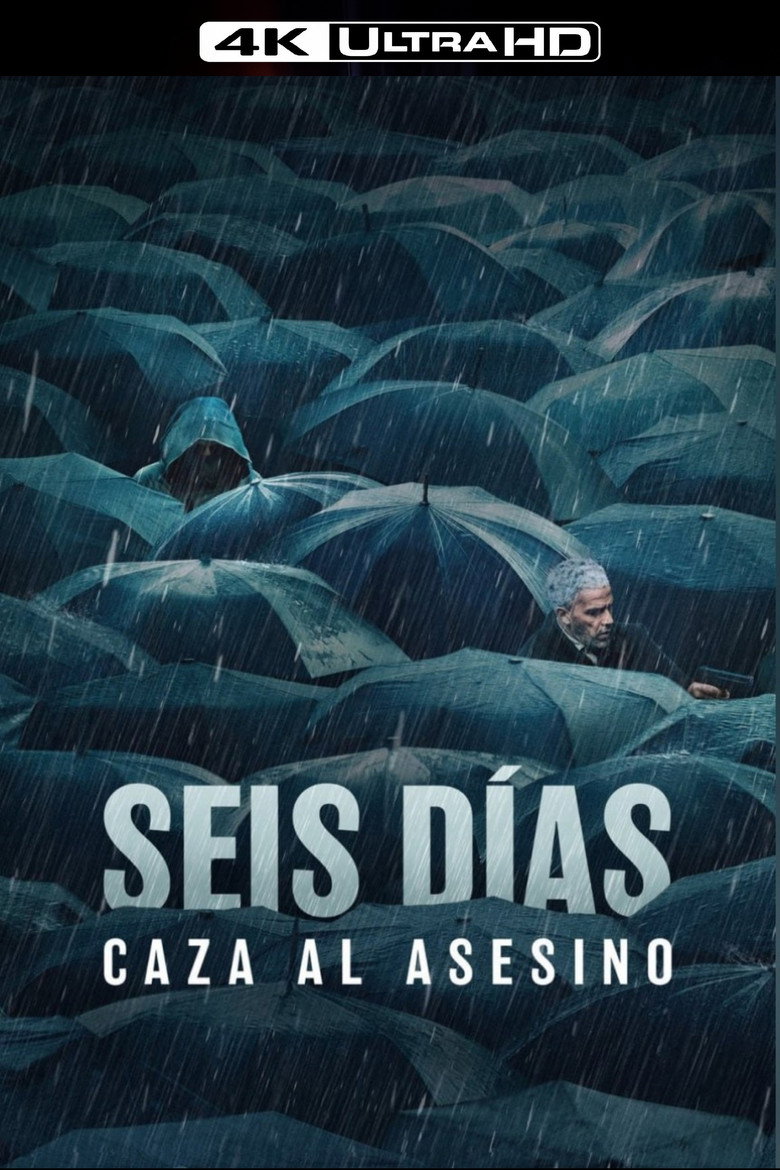 Póster la Película