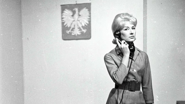 Gallery image from 7WyIHbZ9zkk9YqLfw3l4erXvjBO.jpg