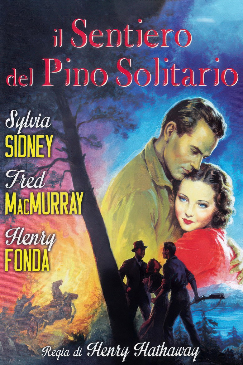 Copertina di Il sentiero del pino solitario