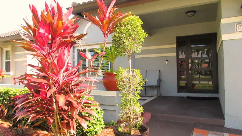 Imatge de Done Trying