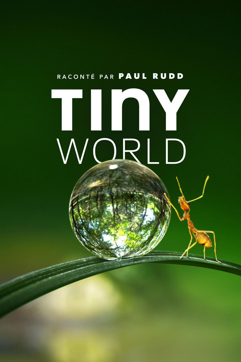 Tiny World