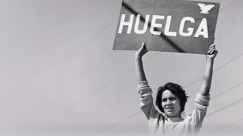 Latino Americans poster