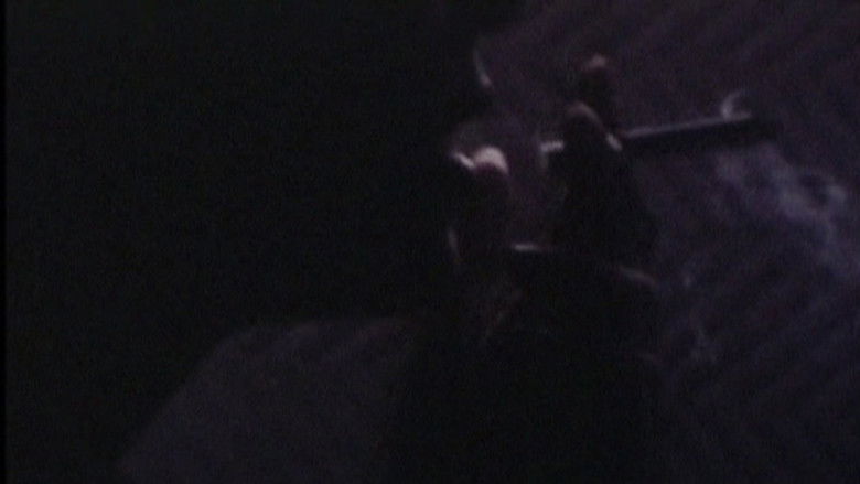 Gallery image from 7Z2PXEVX4nkOfP8kgQfwwvWnnXn.jpg