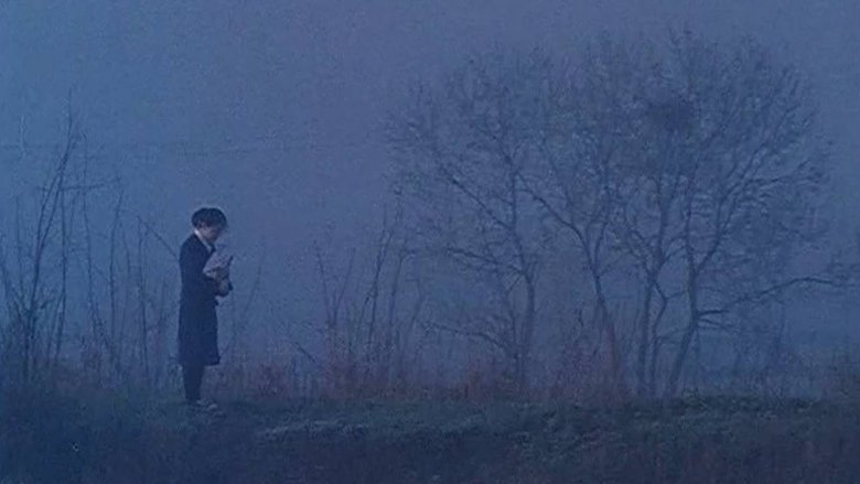 Gallery image from 7ZJODBkPoGiknE97fnBBELTqyFF.jpg