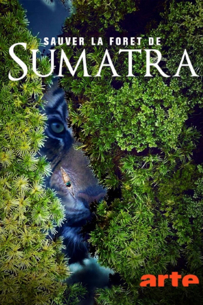 Imatge de Sauver la forêt de Sumatra