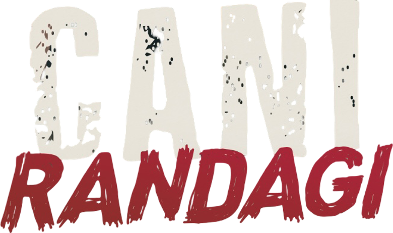 Cani randagi