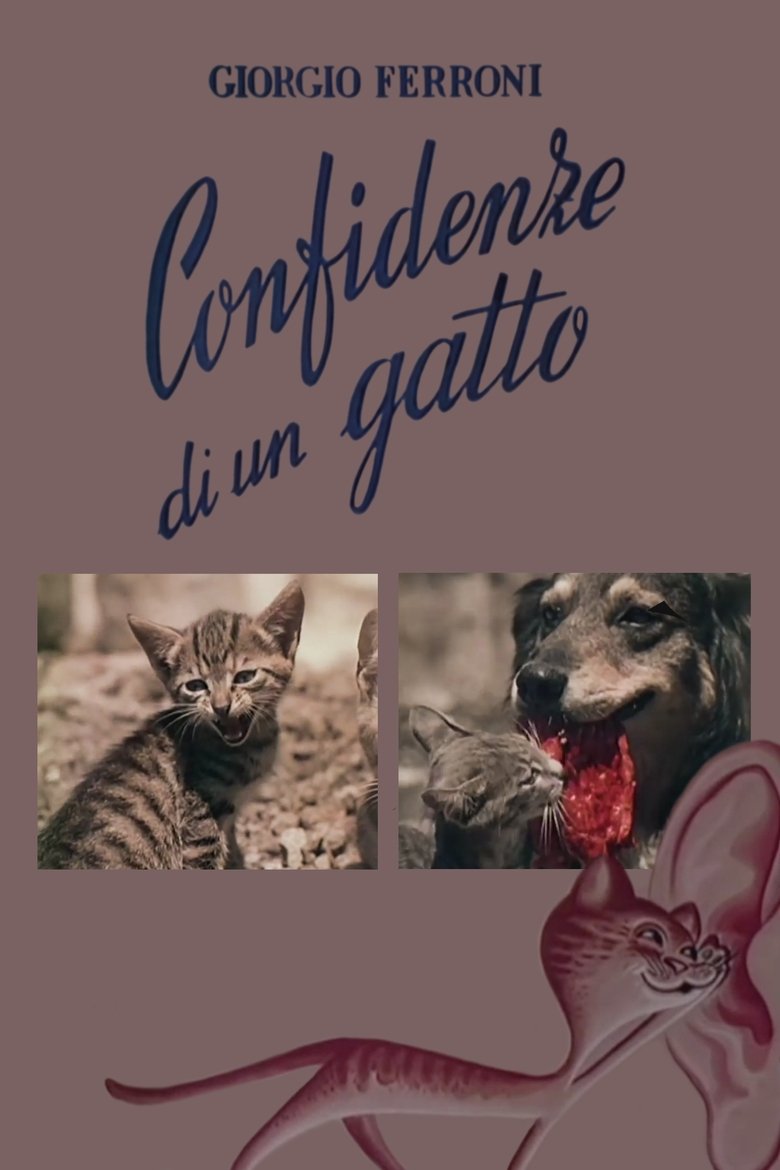 Confidenze di un gatto main poster