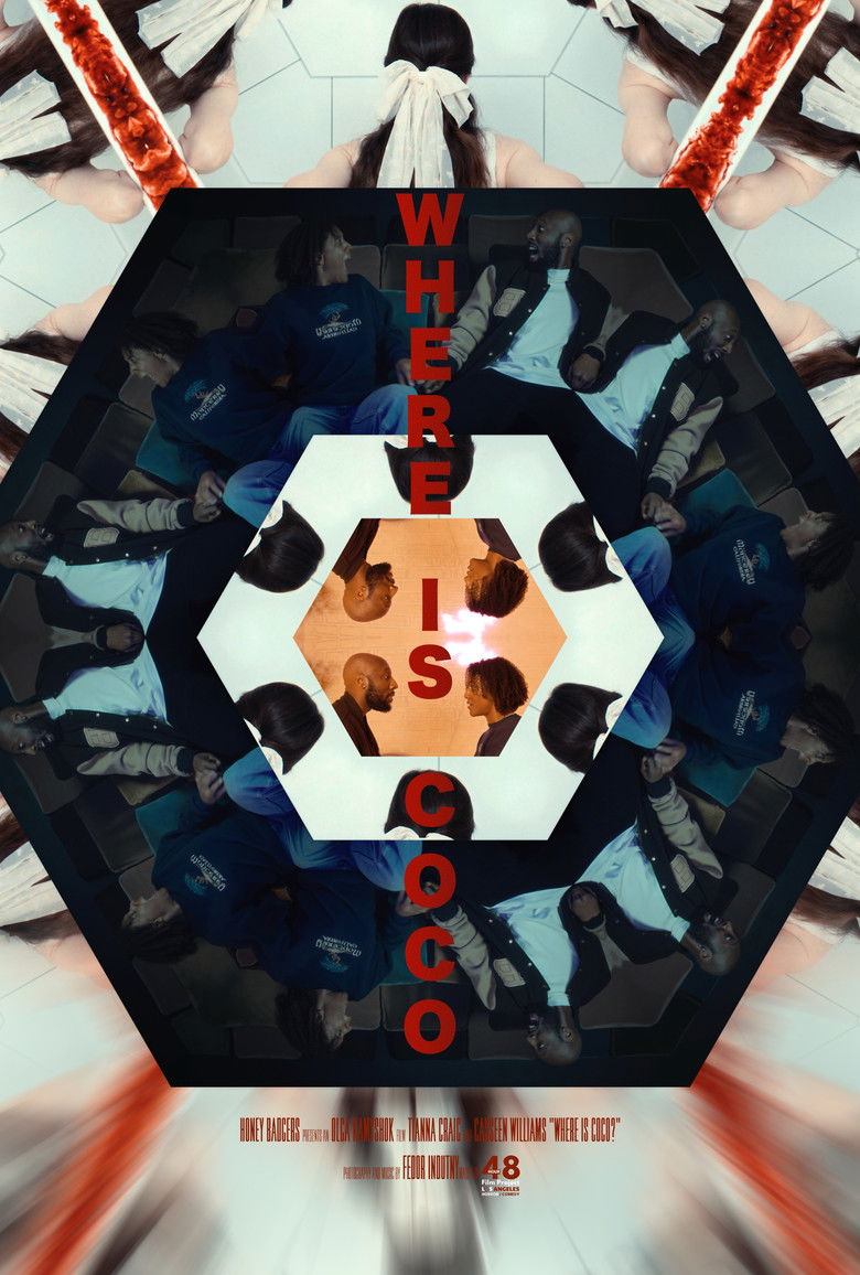 Imatge de Where is Coco?