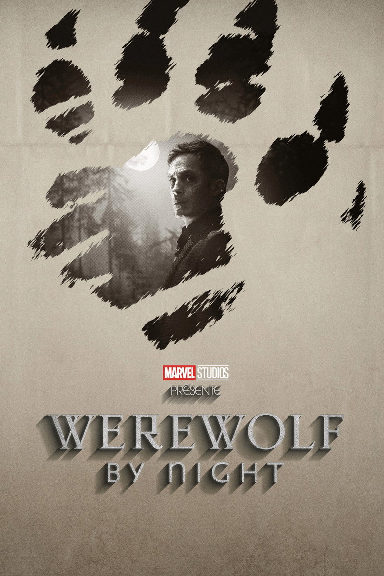 Póster la Película