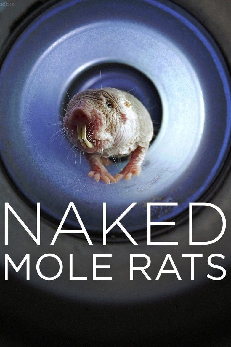 Naked Mole Rats poster