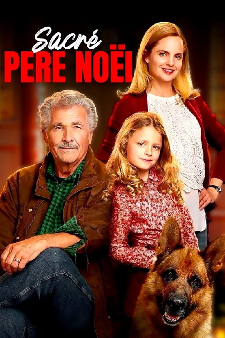 Sacré Père Noël (2016)