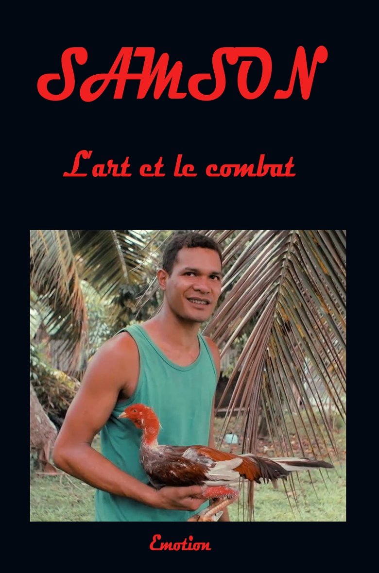 Samson art and combat main poster
