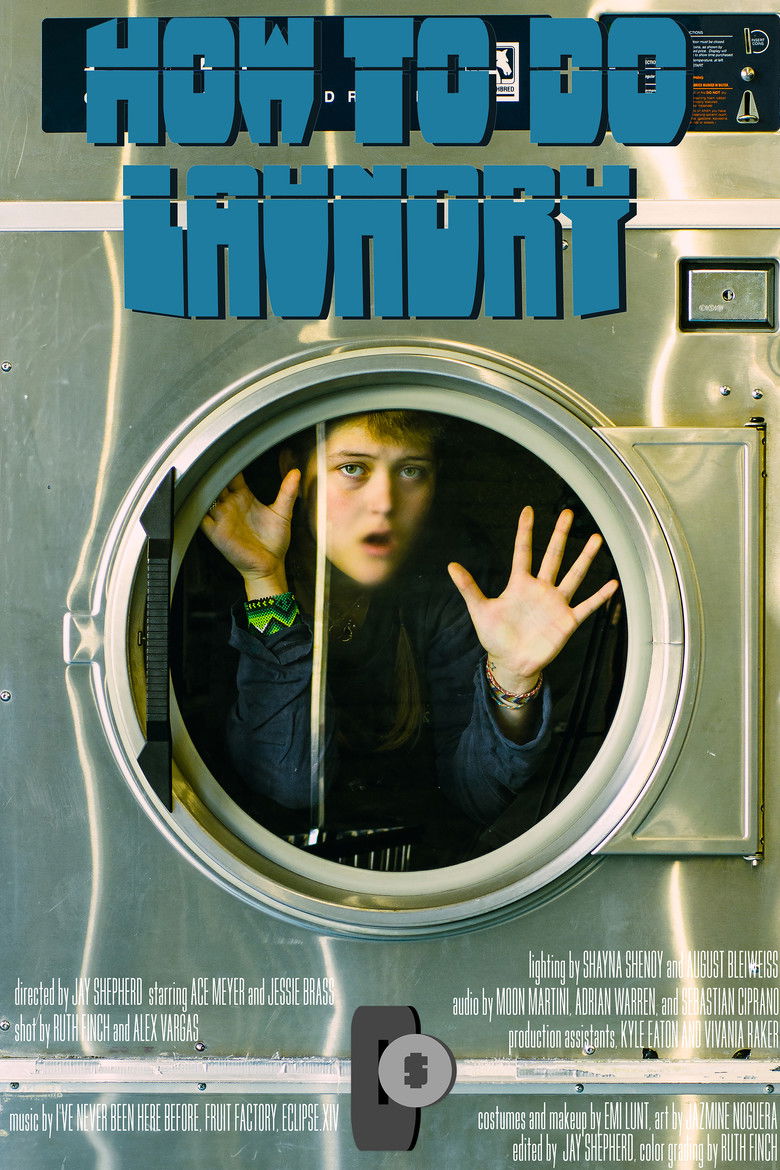 Imatge de How To do Laundry