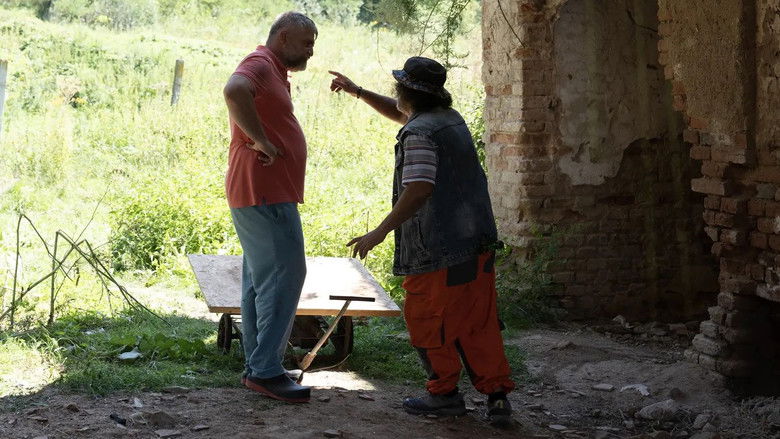 Image d'arrière-plan 12 du film Vasile si naveta spatiala