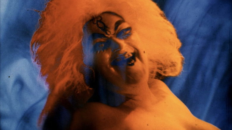 Image d'arrière-plan 7 du film Memoria