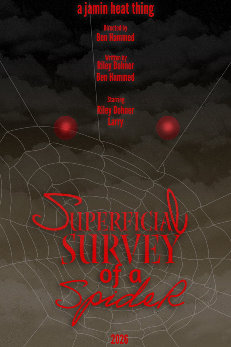 Imatge de Superficial Survey of a Spider