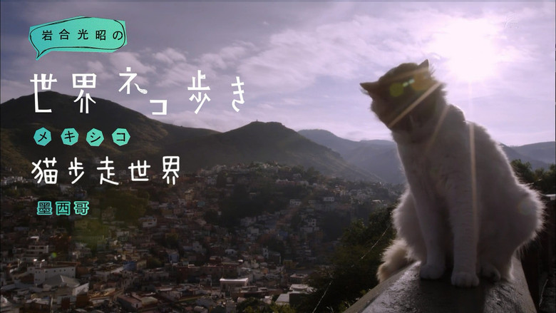 Still image for Mitsuaki Iwago's World “Cats” Travelogue season 1 episode 68: Mexico Still image for Mitsuaki Iwago's World “Cats” Travelogue season 1 episode 68: Mexico