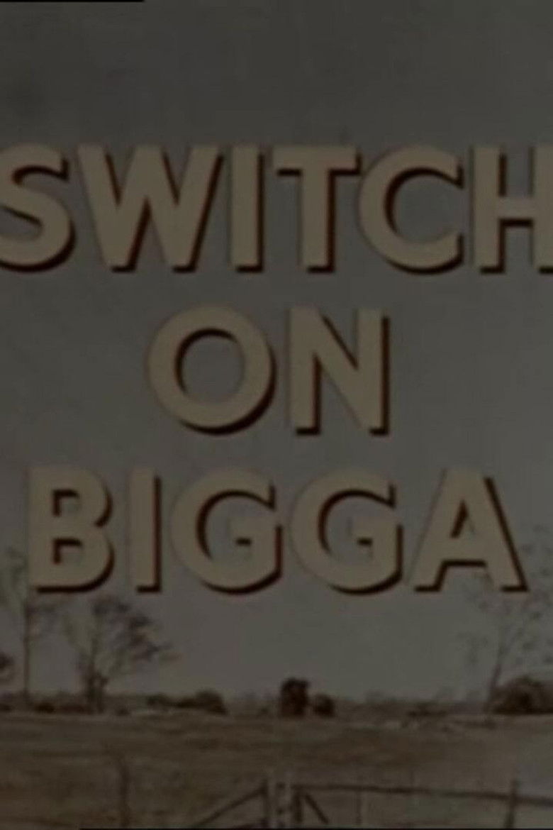Imatge de Switch on Bigga