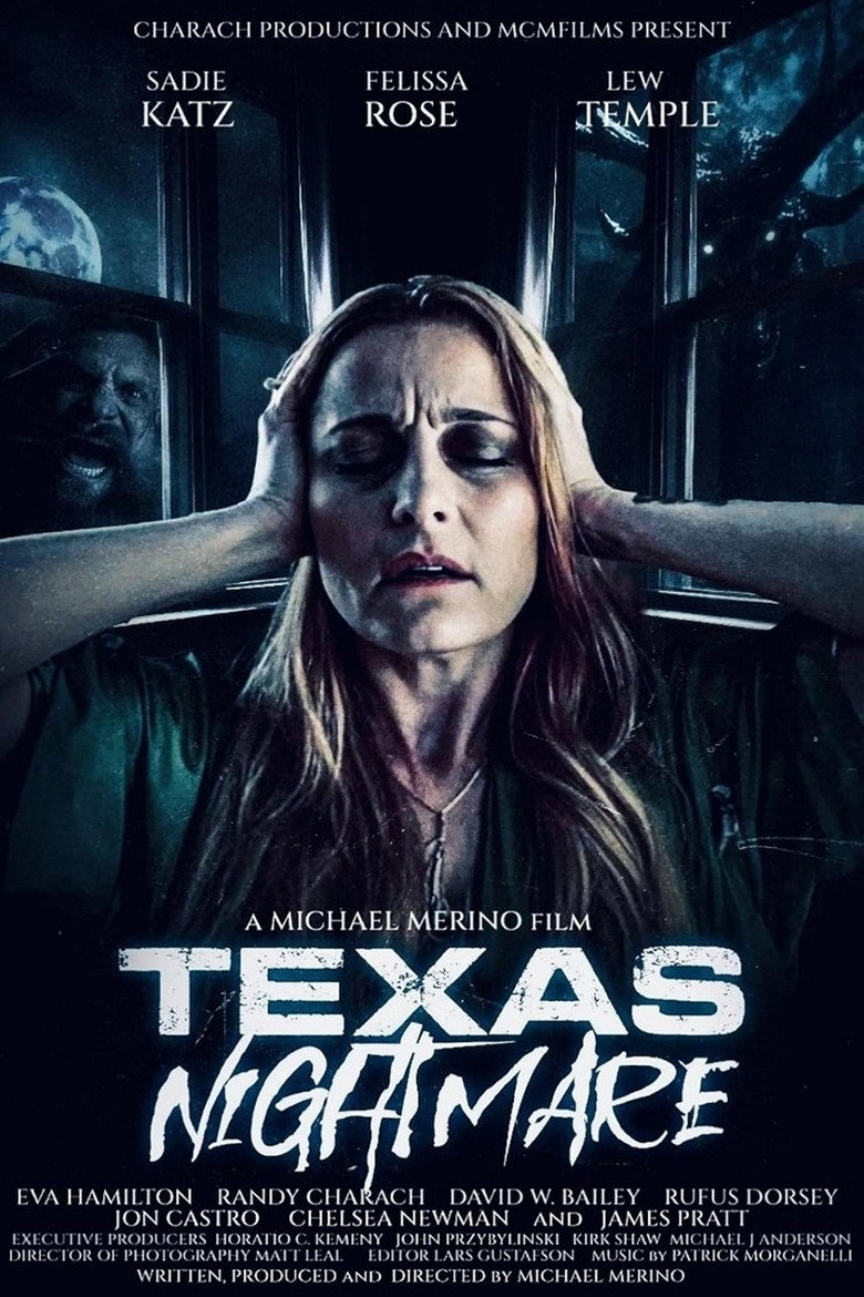 Affiche de A TEXAS NIGHTMARE