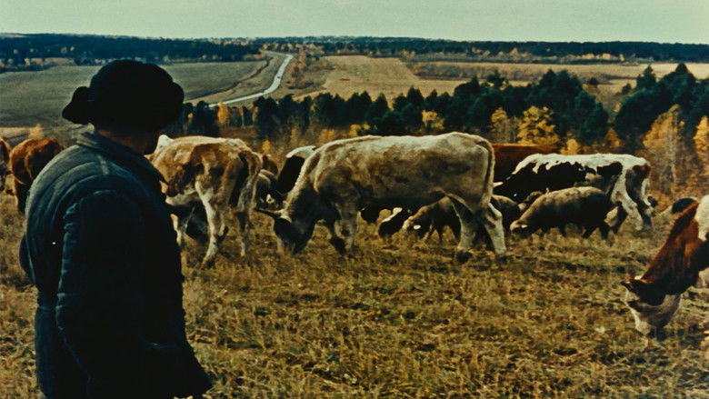 Imatge de Lettre de Sibérie