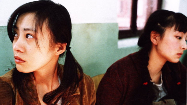 Image d'arrière-plan 8 du film 颐和园