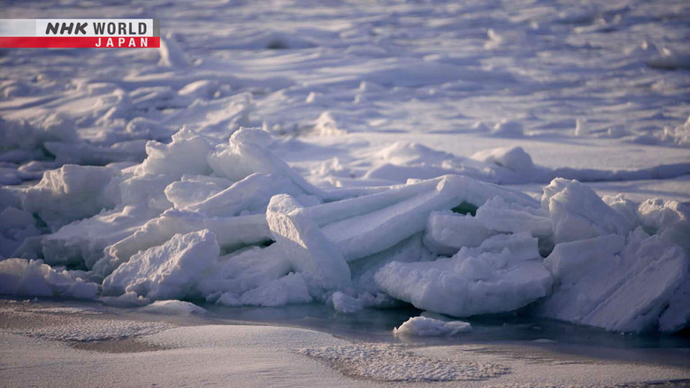 Sea of Okhotsk: Blessings of the Drift Ice