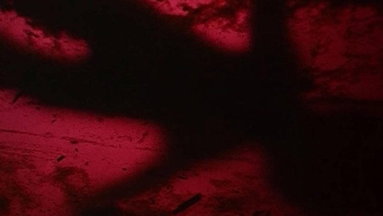 Gallery image from 7hWPXuhwCSg2edeEJabPrJgNYqb.jpg