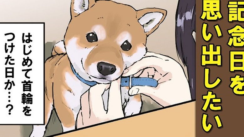 Still image for Doomsday with My Dog season 1 episode 52: Special Day(s) Still image for Doomsday with My Dog season 1 episode 52: Special Day(s)