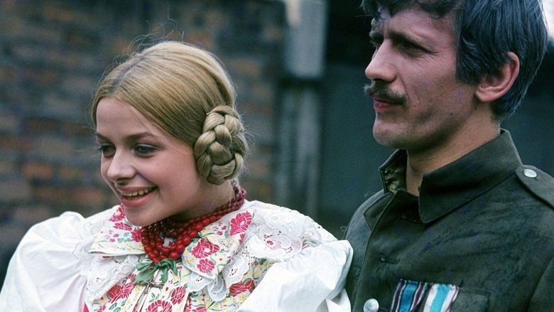 Gallery image from 7hyg18RZdbNj3PkIsf36IU7hjCC.jpg